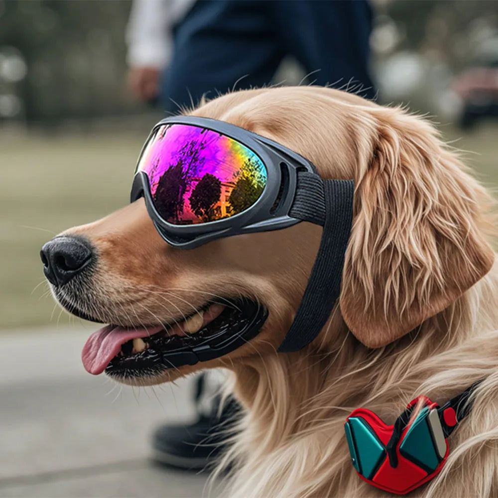 Dog Glasses Adjustable Outdoor Pet Goggles for Small Large Dogs