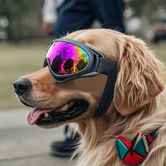 Dog Glasses Adjustable Outdoor Pet Goggles for Small Large Dogs